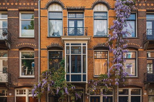 Rental market expertise